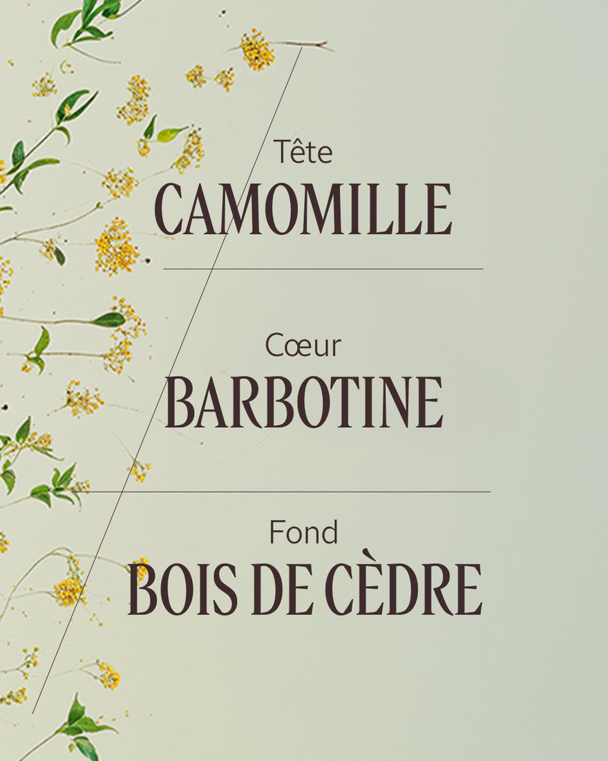 EAU DE PARFUM BARBOTINE