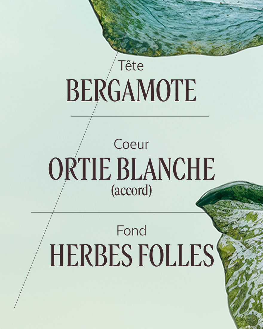 EAU DE PARFUM ORTIE BLANCHE ( HERBAE)