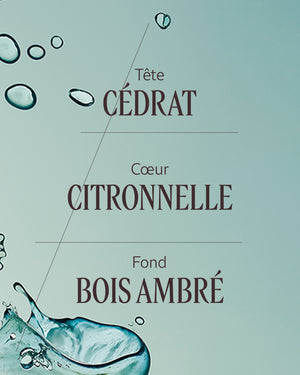 EAU DE TOILETTE CÉDRAT