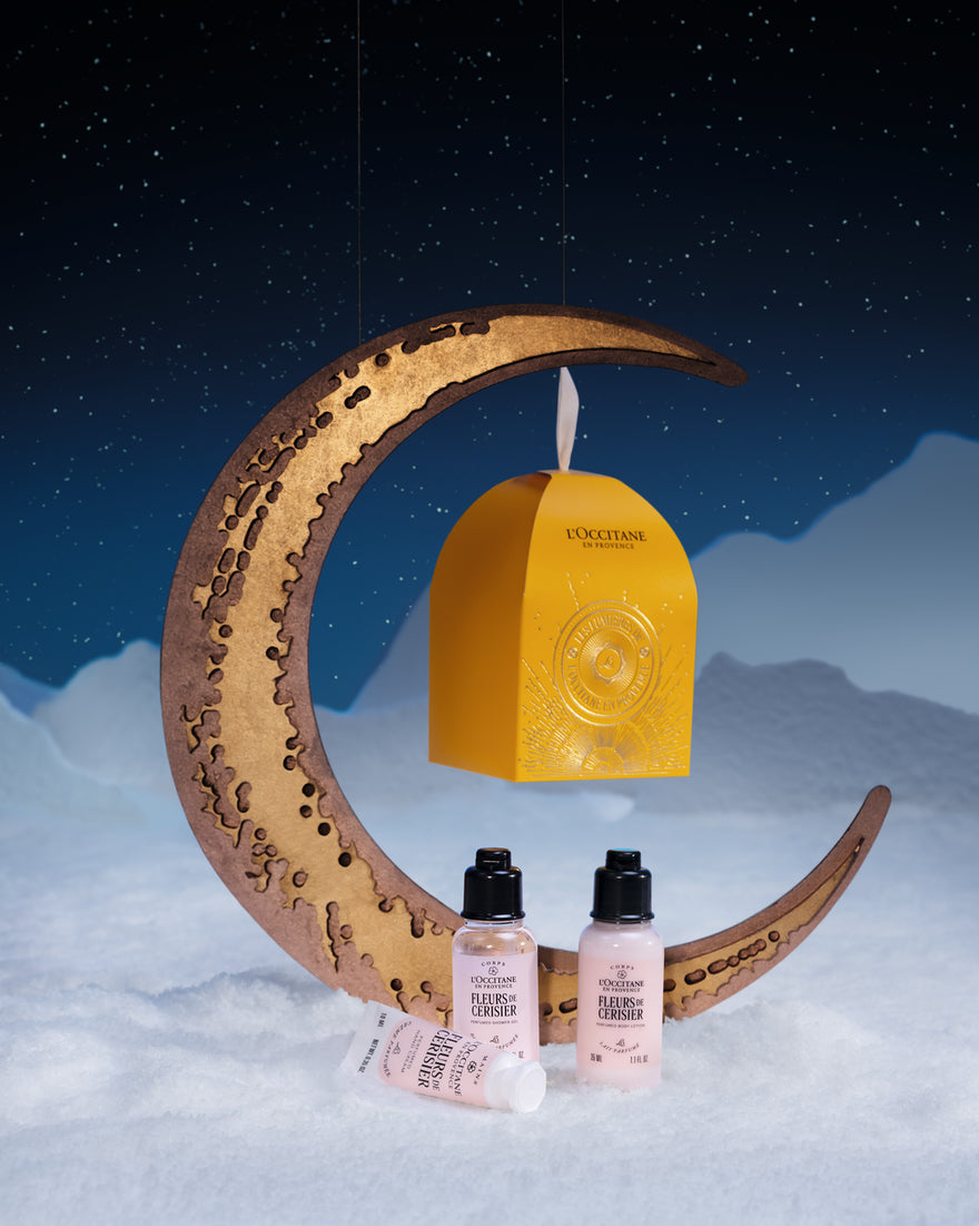 MAISONNETTE FLEURS DE CERISIER